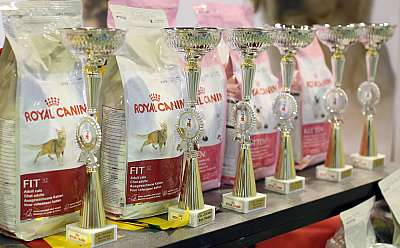 �������� ����� '���-�����-��������' 20-21 �������� 2014 169A2287 copy.jpg